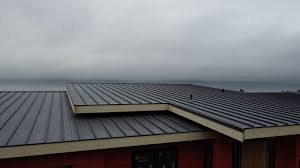 Best Sheet Metal Roofing  in Janesville, MN